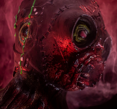 Gen. 1 Mutant Clone Display Mask