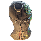 Gen. 1 Mutant Clone Display Mask